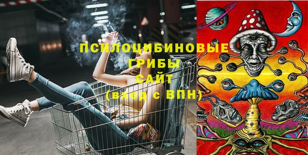 прущая мука Надым