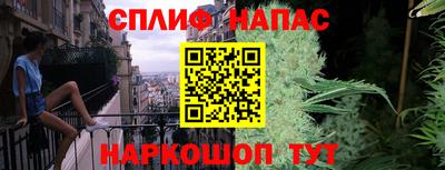 гидропоника Донской