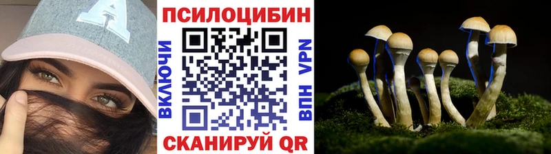 Галлюциногенные грибы ЛСД Фролово