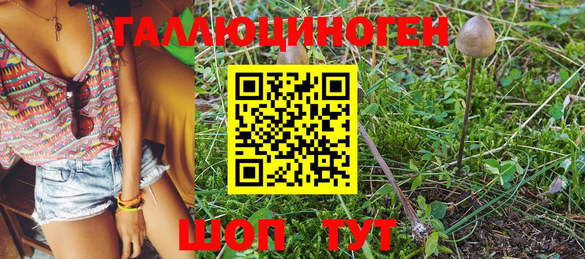 где продают   Вход с VPN  Фролово  Галлюциногенные грибы Psilocybine cubensis 