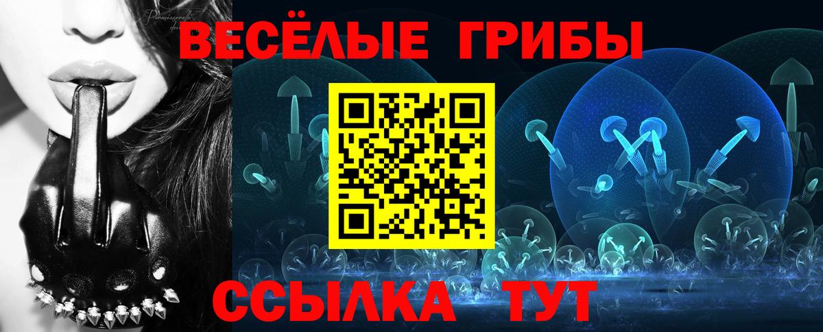 Псилоцибиновые грибы прущие грибы Фролово